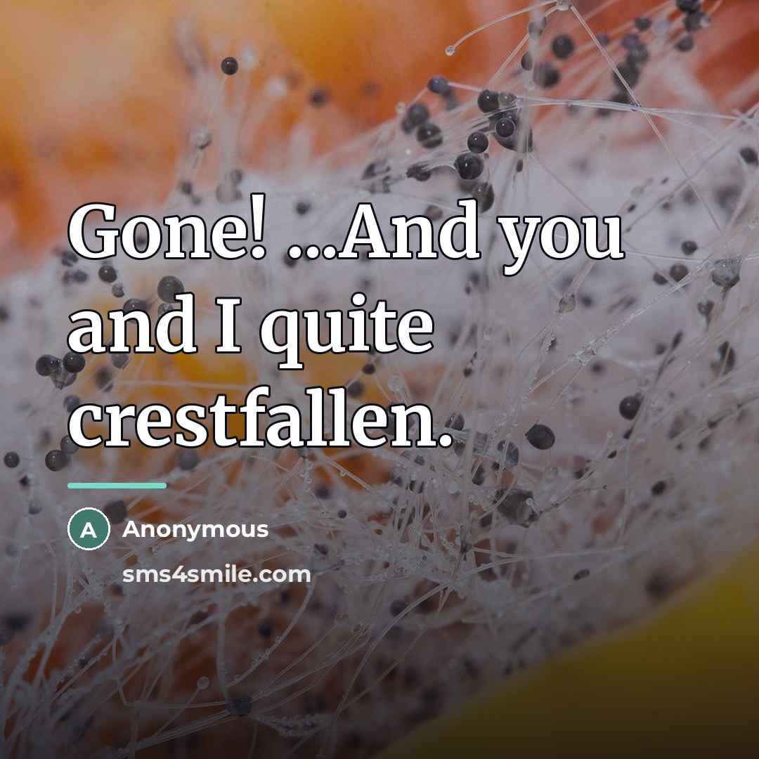 “Gone! ...And you and I quite crestfallen.…” quote by Anonymous