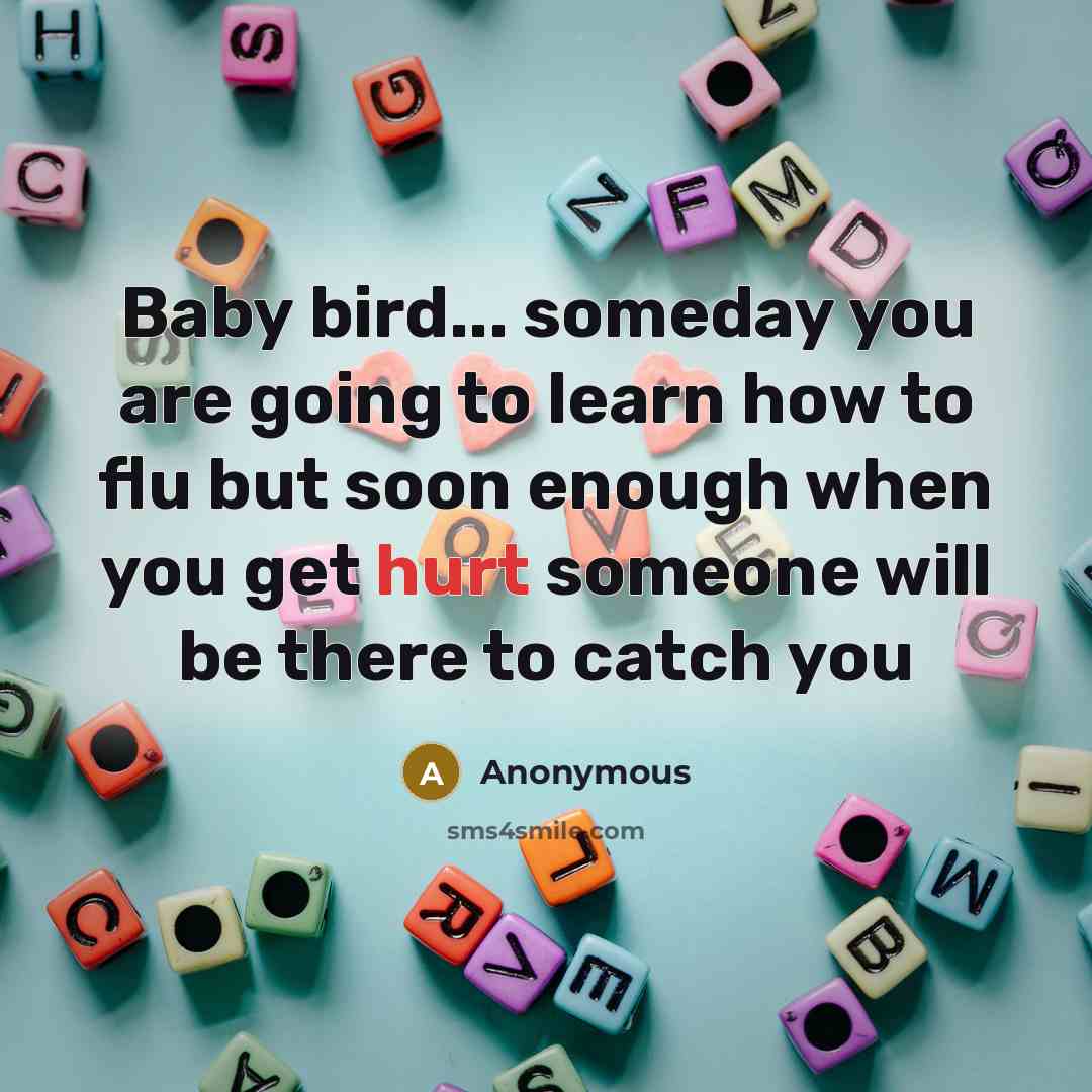 “Baby bird... someday you are going to learn how to…” quote by Anonymous