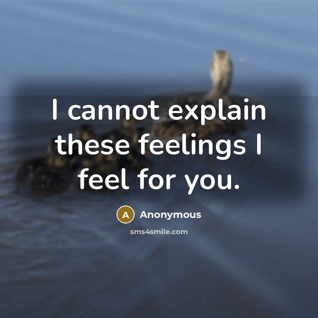 “I cannot explain these feelings I feel for you.” quote by Anonymous