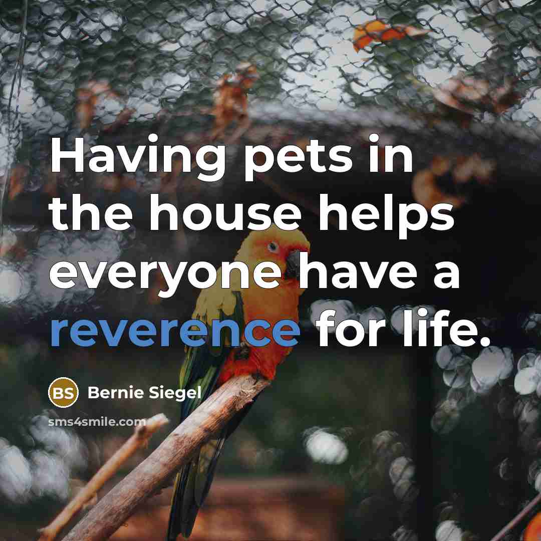“Having pets in the house helps everyone have a reverence for life.” quote by Bernie Siegel