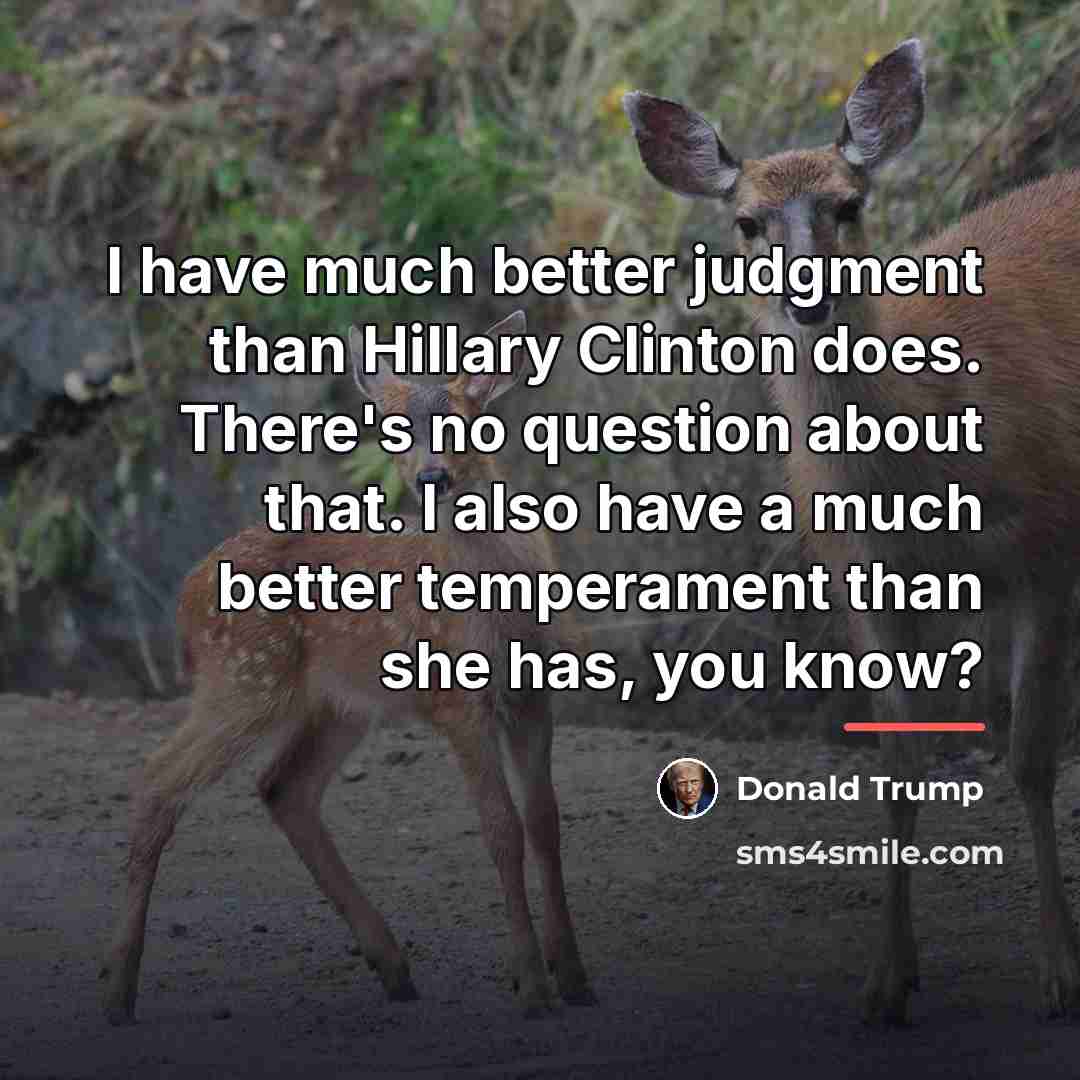 “I have much better judgment than Hillary Clinton does. There's…” quote by Donald Trump