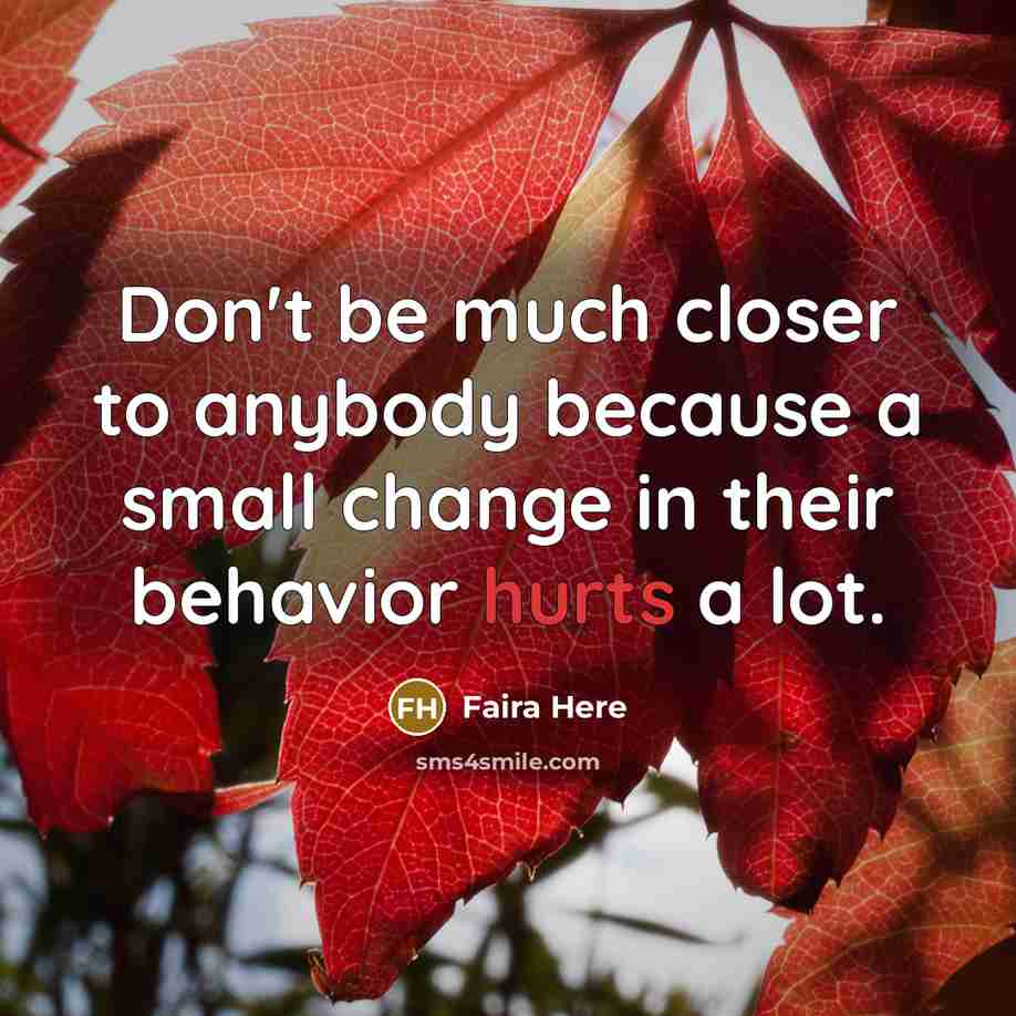 “Don't be much closer to anybody because a small change in their behavior hurts a lot.” quote by Faira Here