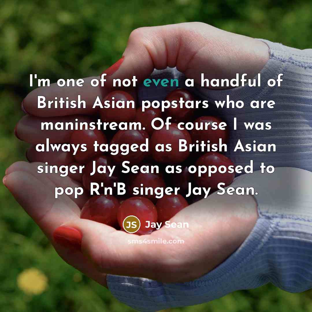 “I'm one of not even a handful of British Asian…” quote by Jay Sean
