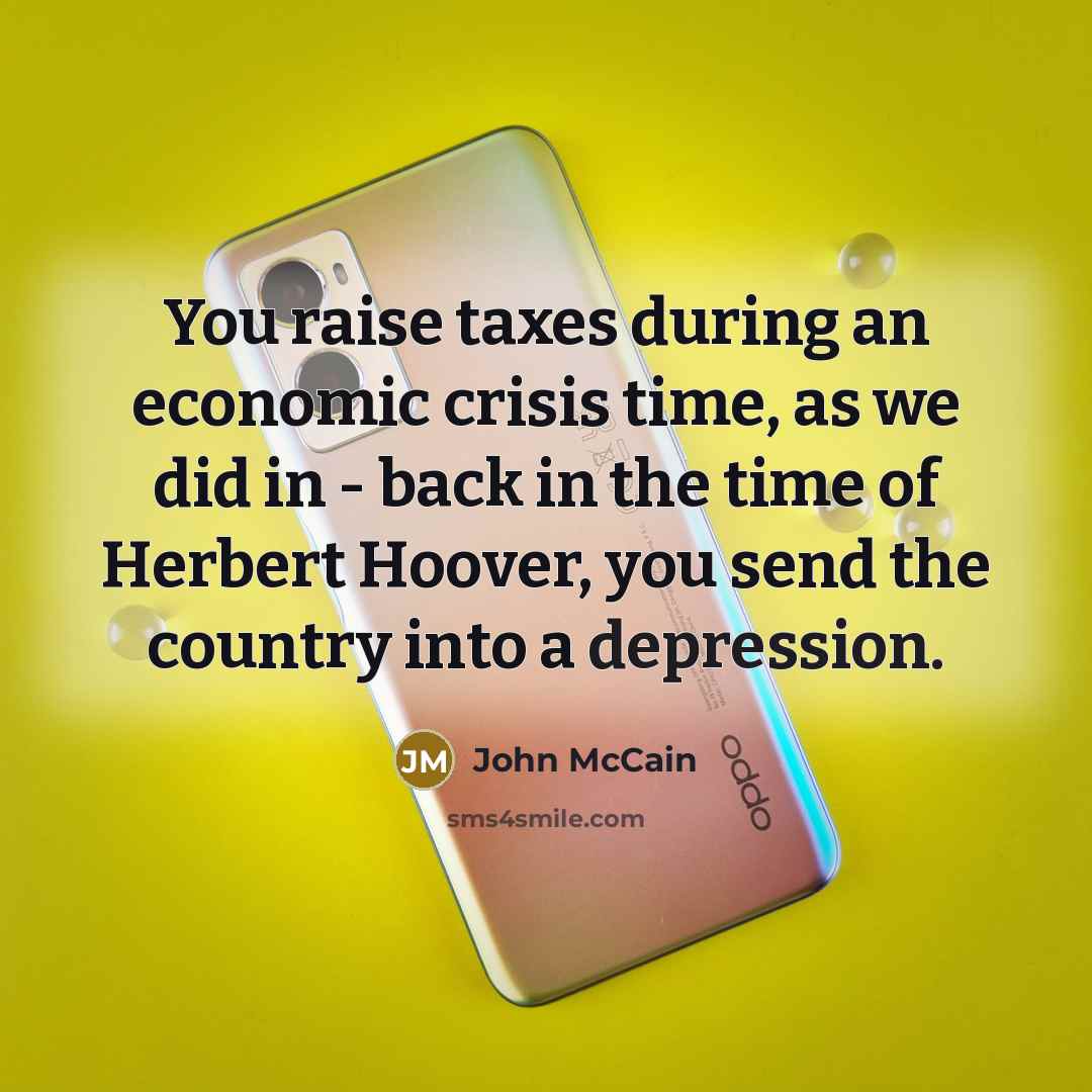 “You raise taxes during an economic crisis time, as we…” quote by John McCain