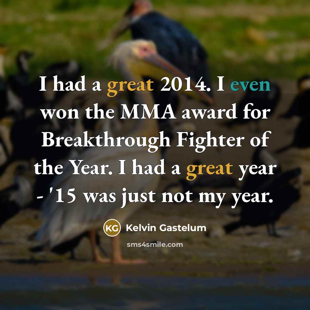 “I had a great 2014. I even won the MMA…” quote by Kelvin Gastelum