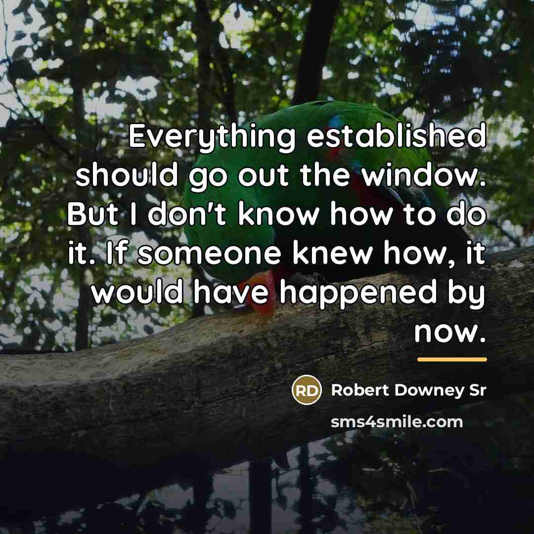 “Everything established should go out the window. But I don't…” quote by Robert Downey Sr