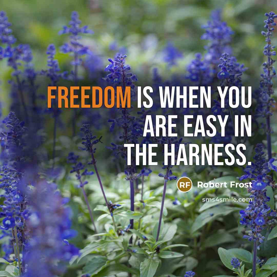 “Freedom is when you are easy in the harness.…” quote by Robert Frost