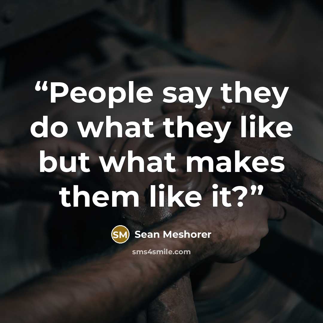 “People say they do what they like but what makes them like it?” quote by Sean Meshorer