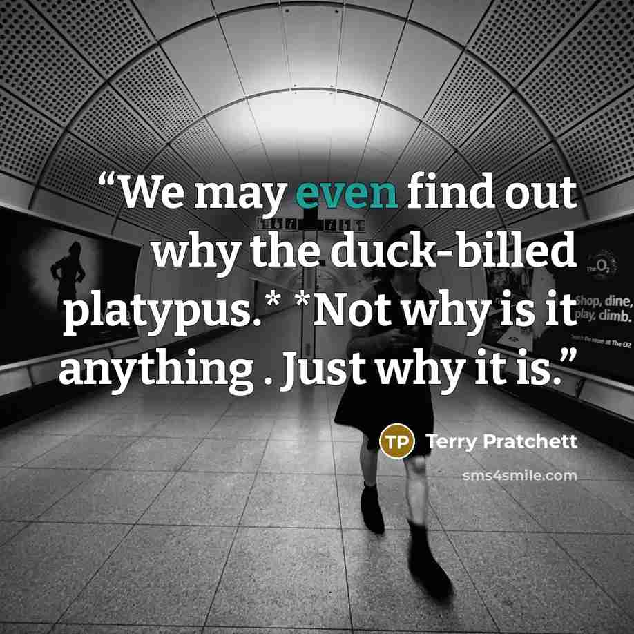 “We may even find out why the duck-billed platypus.* *Not why is it anything . Just why it is.” quote by Terry Pratchett