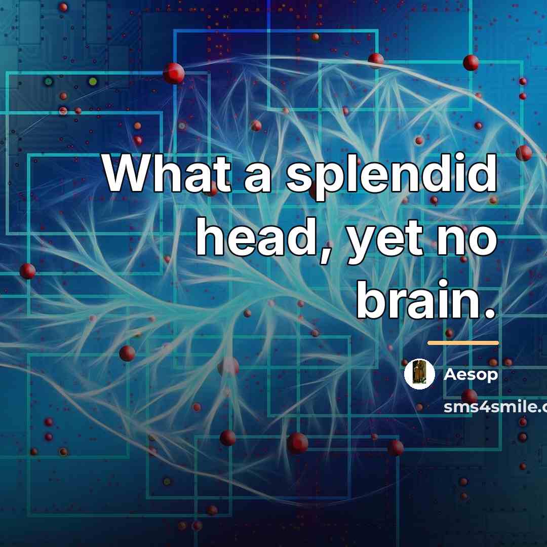 “What a splendid head, yet no brain.…” quote by Aesop