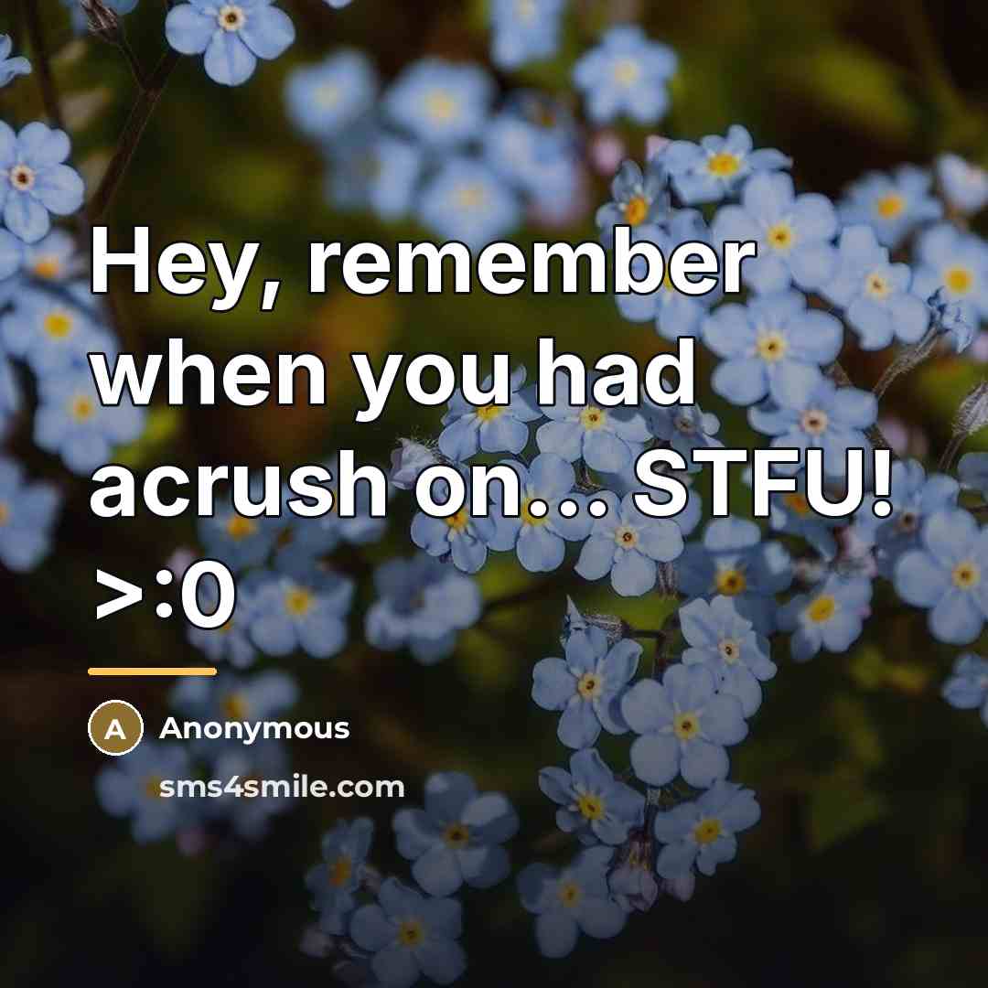 “Hey, remember when you had acrush on... STFU! >:0…” quote by Anonymous