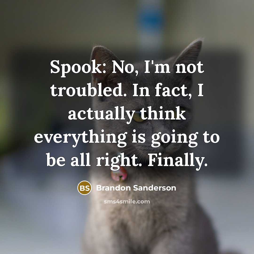 “Spook: No, I'm not troubled. In fact, I actually think…” quote by Brandon Sanderson