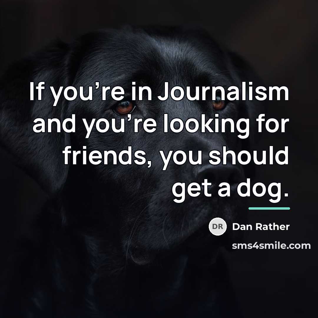 “If you're in Journalism and you're looking for friends, you…” quote by Dan Rather