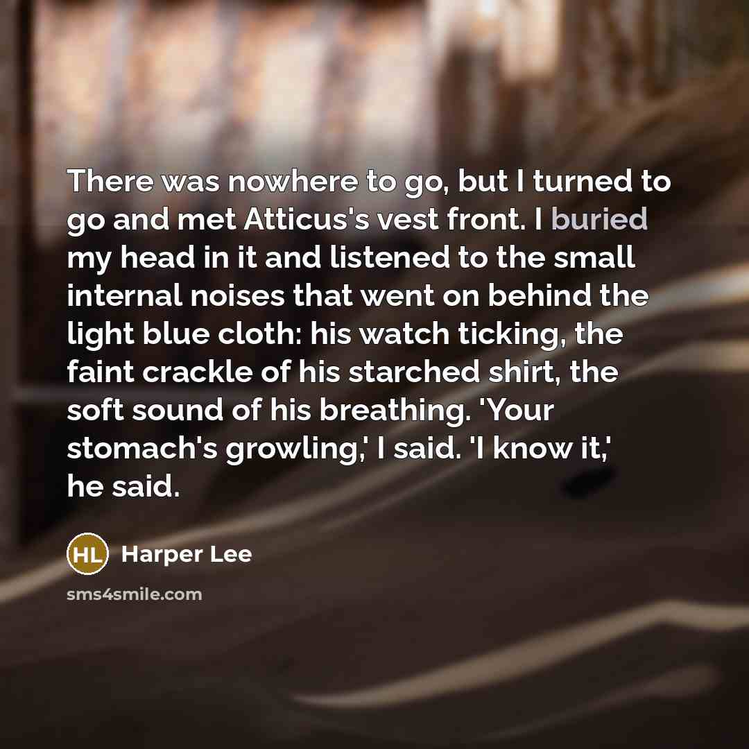 “There was nowhere to go, but I turned to go…” quote by Harper Lee