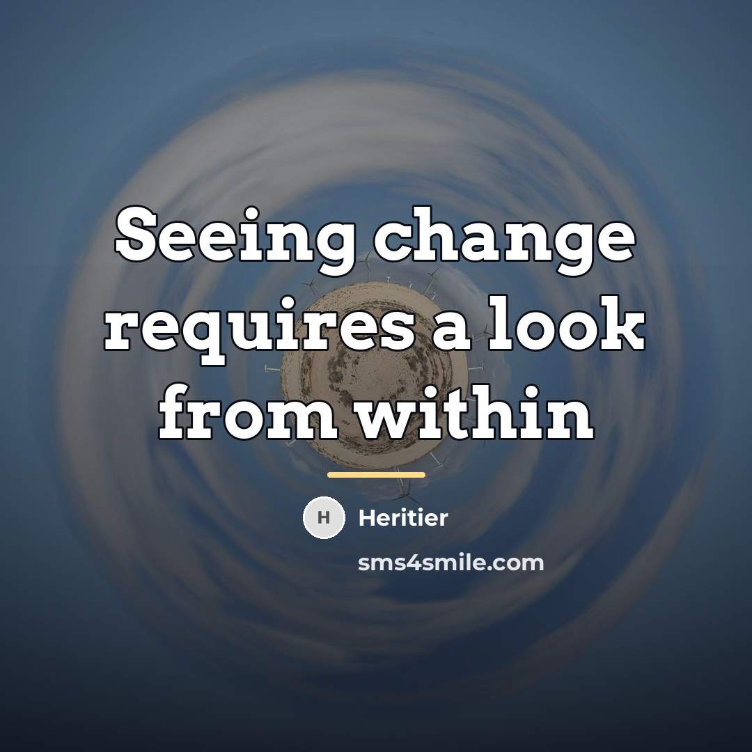 “Seeing change requires a look from within…” quote by Heritier