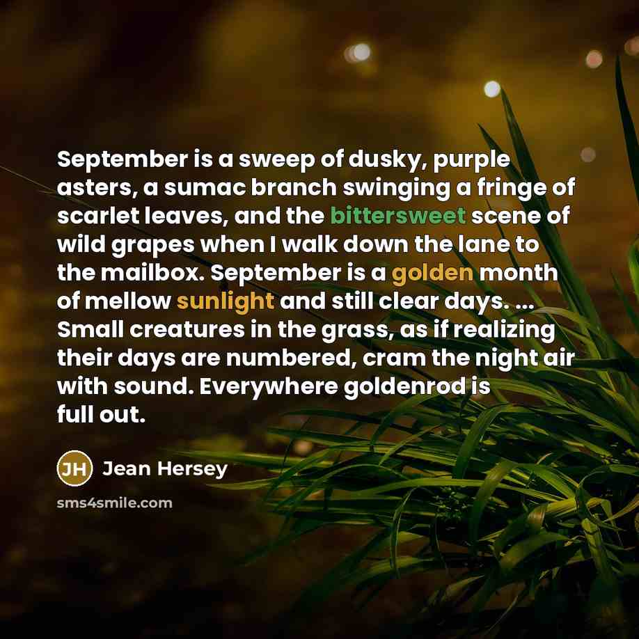 “September is a sweep of dusky, purple asters, a sumac…” quote by Jean Hersey