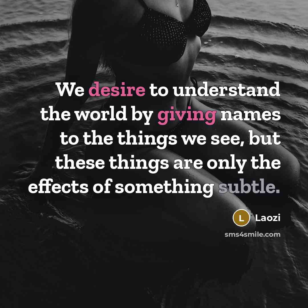“We desire to understand the world by giving names to…” quote by Laozi