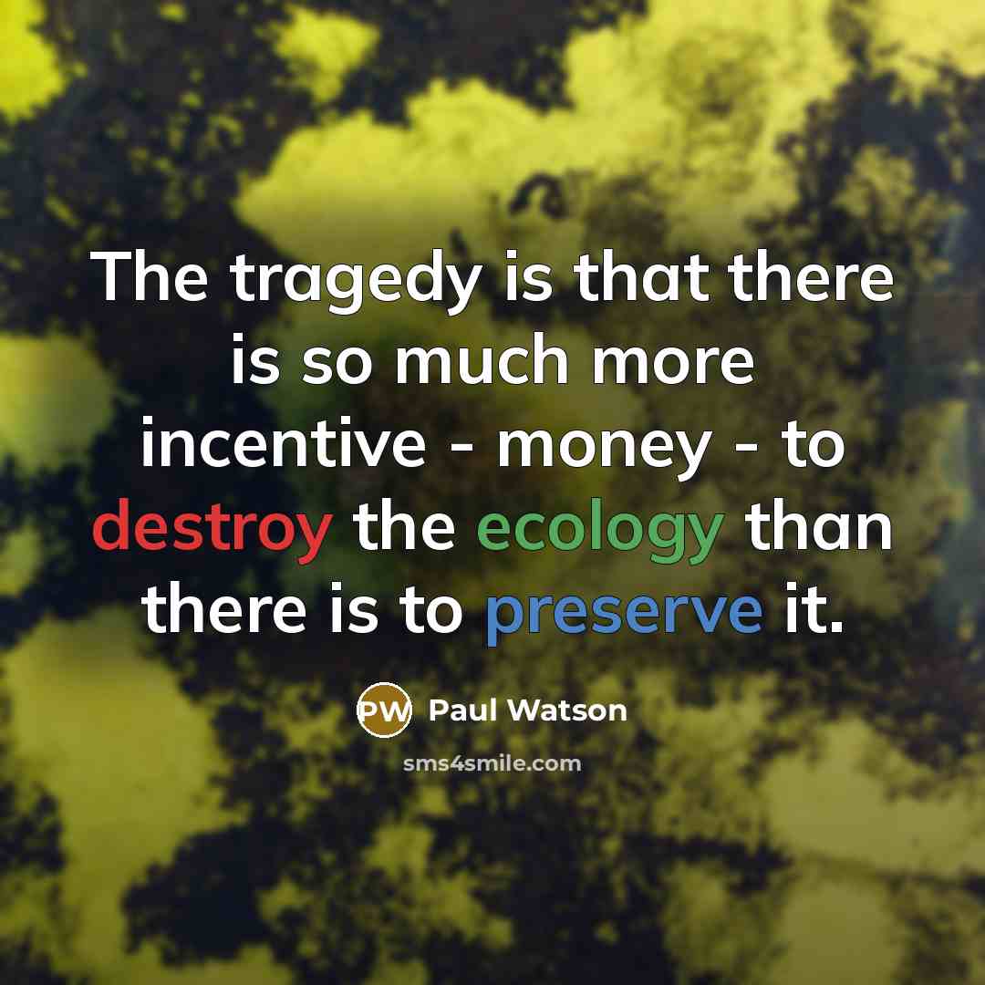 “The tragedy is that there is so much more incentive - money - to destroy the ecology than there is to preserve it.” quote by Paul Watson