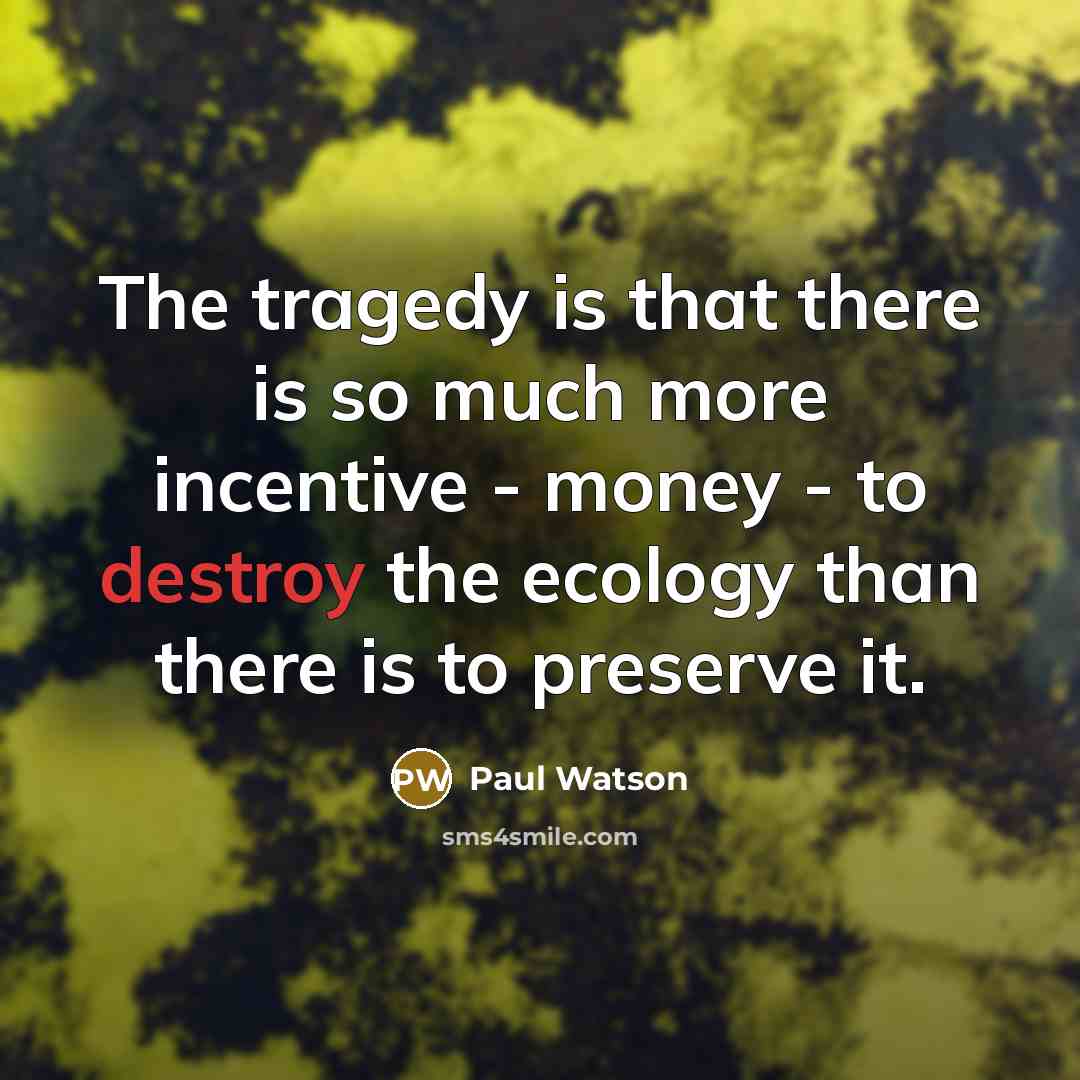 “The tragedy is that there is so much more incentive…” quote by Paul Watson