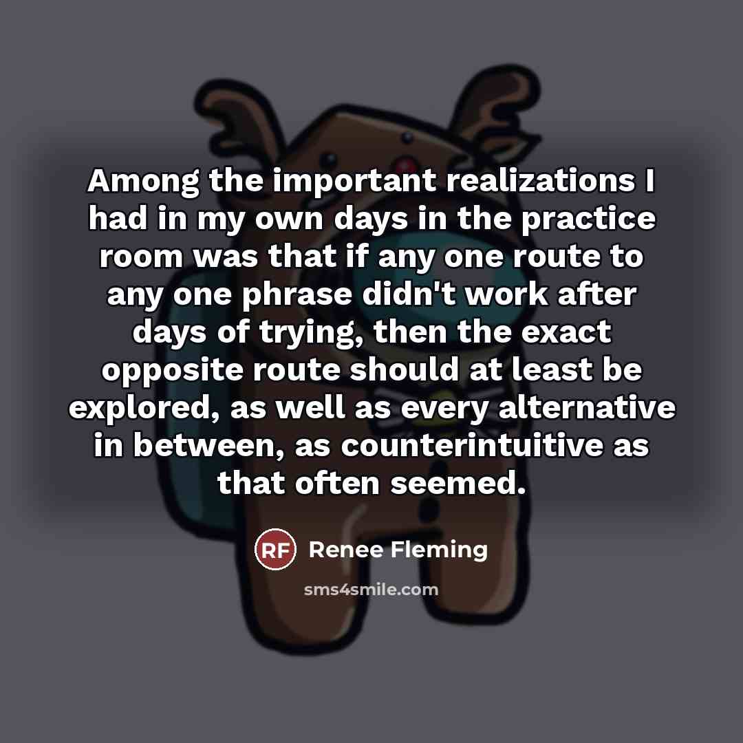 “Among the important realizations I had in my own days…” quote by Renee Fleming