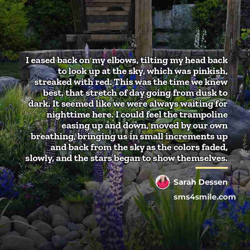 “I eased back on my elbows, tilting my head back…” quote by Sarah Dessen