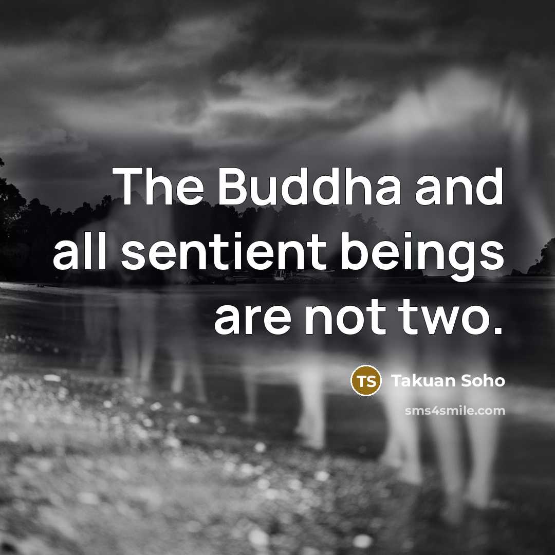 “The Buddha and all sentient beings are not two.…” quote by Takuan Soho