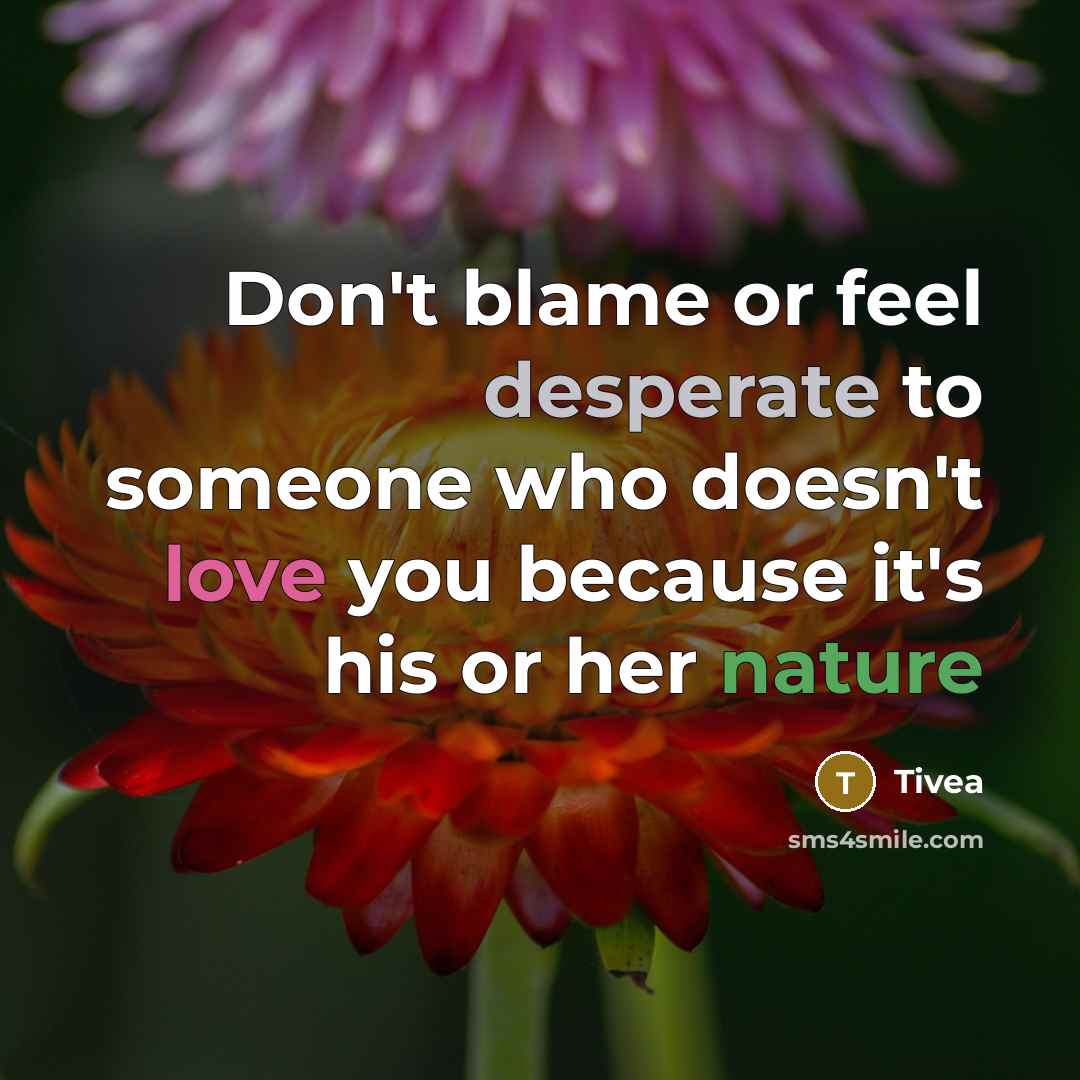 “Don't blame or feel desperate to someone who doesn't love you because it's his or her nature” quote by Tivea