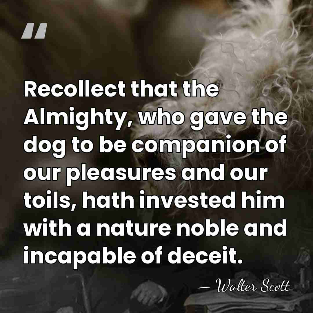 Recollect that the Almighty, who gave the dog to be companion of&hellip; - Walter Scott