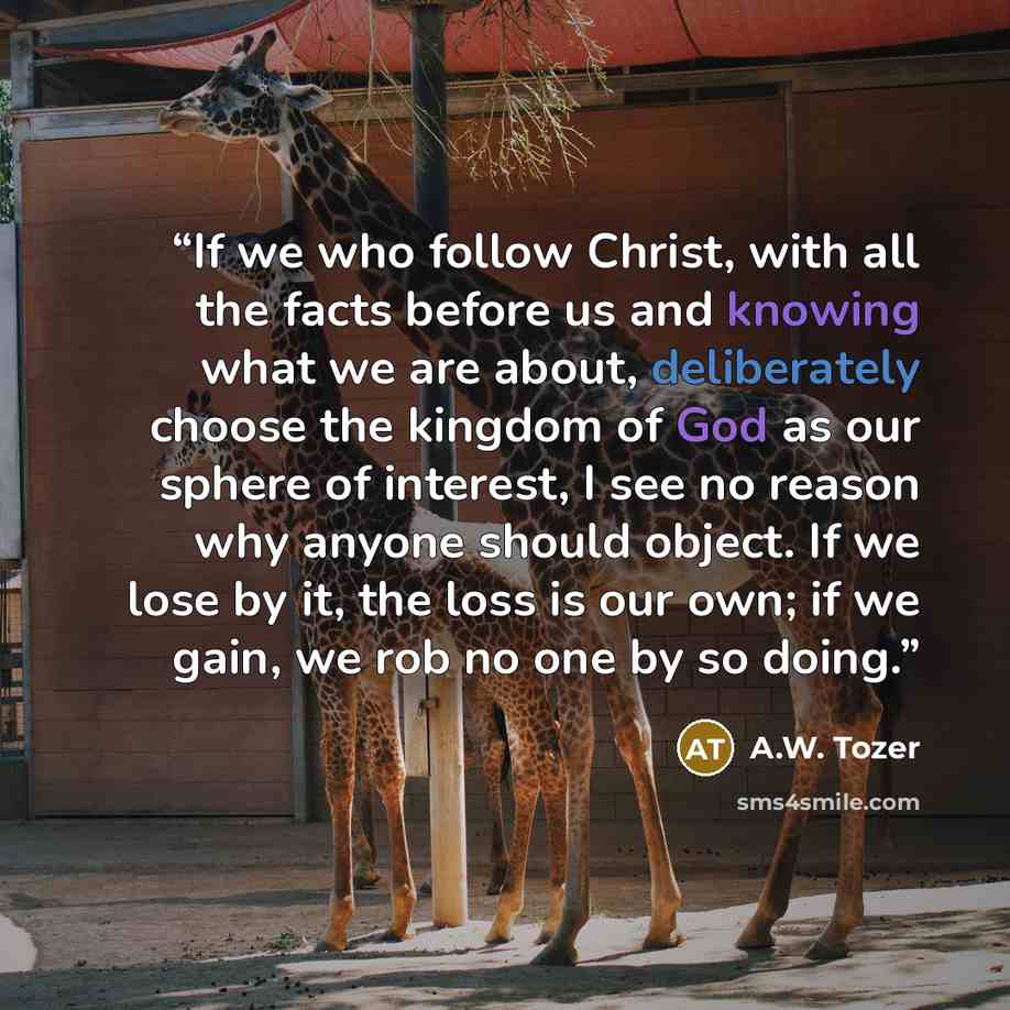 “If we who follow Christ, with all the facts before us and knowing what we are about, deliberately choose the kingdom of God as our sphere of interest, I see no reason why anyone should object. If we lose by it, the loss is our own; if we gain, we rob no one by so doing.” quote by A.W. Tozer