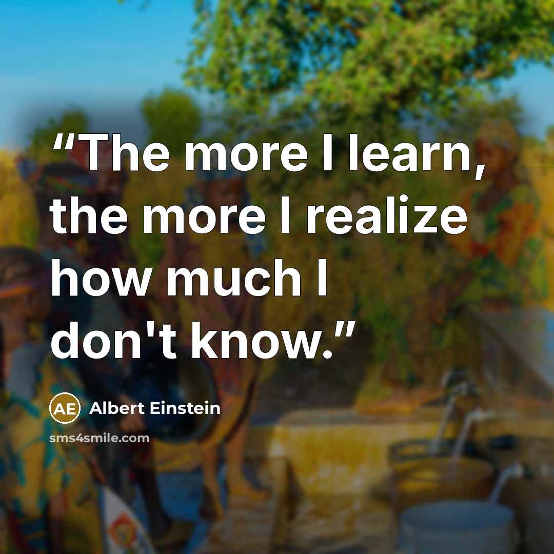 “The more I learn, the more I realize how much I don't know.” quote by Albert Einstein