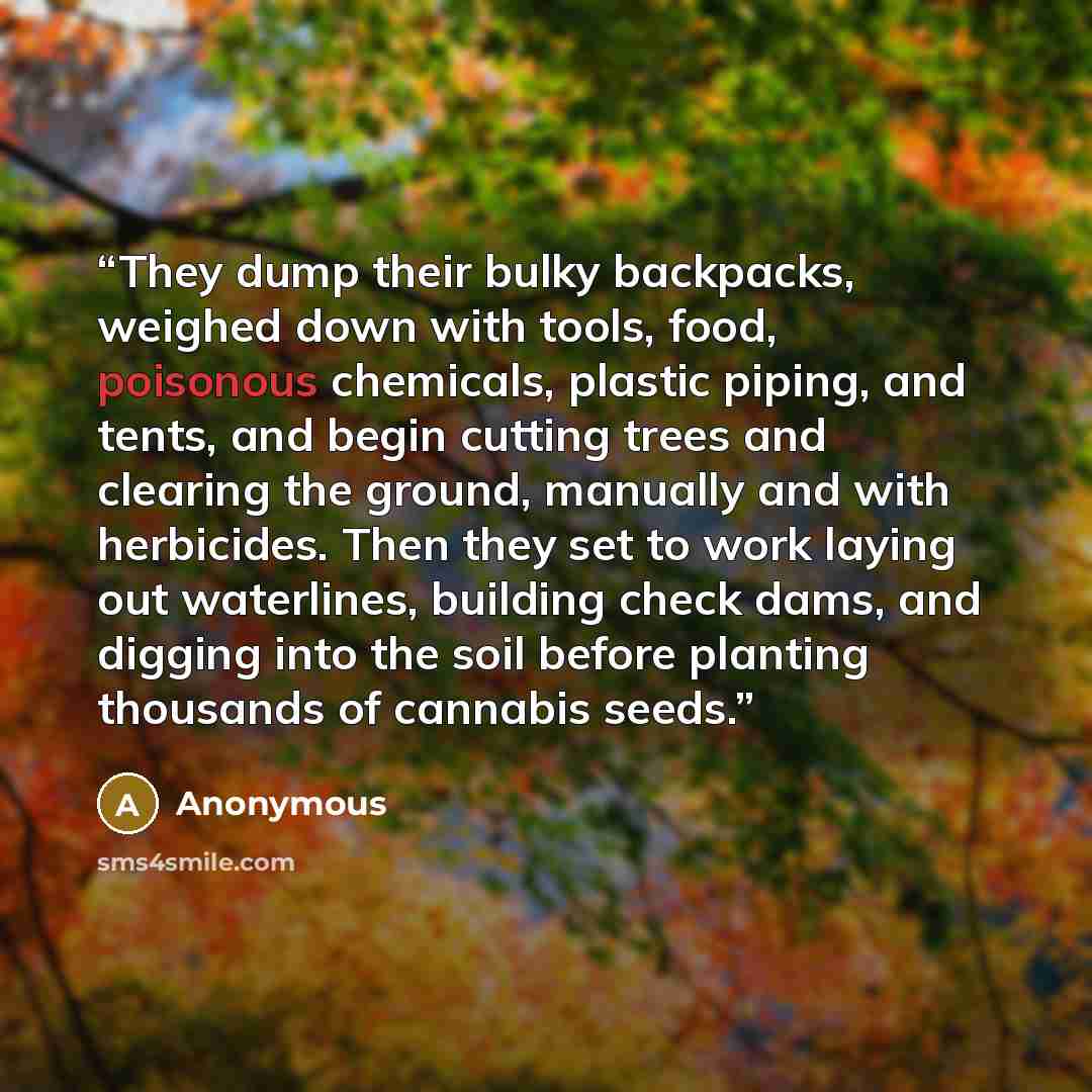 “They dump their bulky backpacks, weighed down with tools, food, poisonous chemicals, plastic piping, and tents, and begin cutting trees and clearing the ground, manually and with herbicides. Then they set to work laying out waterlines, building check dams, and digging into the soil before planting…” quote by Anonymous