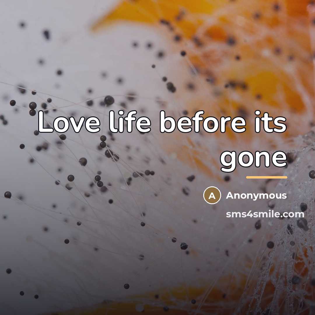 “Love life before its gone…” quote by Anonymous