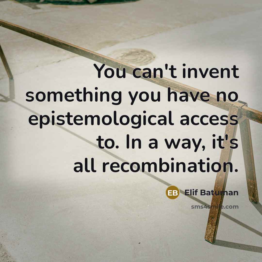 “You can't invent something you have no epistemological access to.…” quote by Elif Batuman