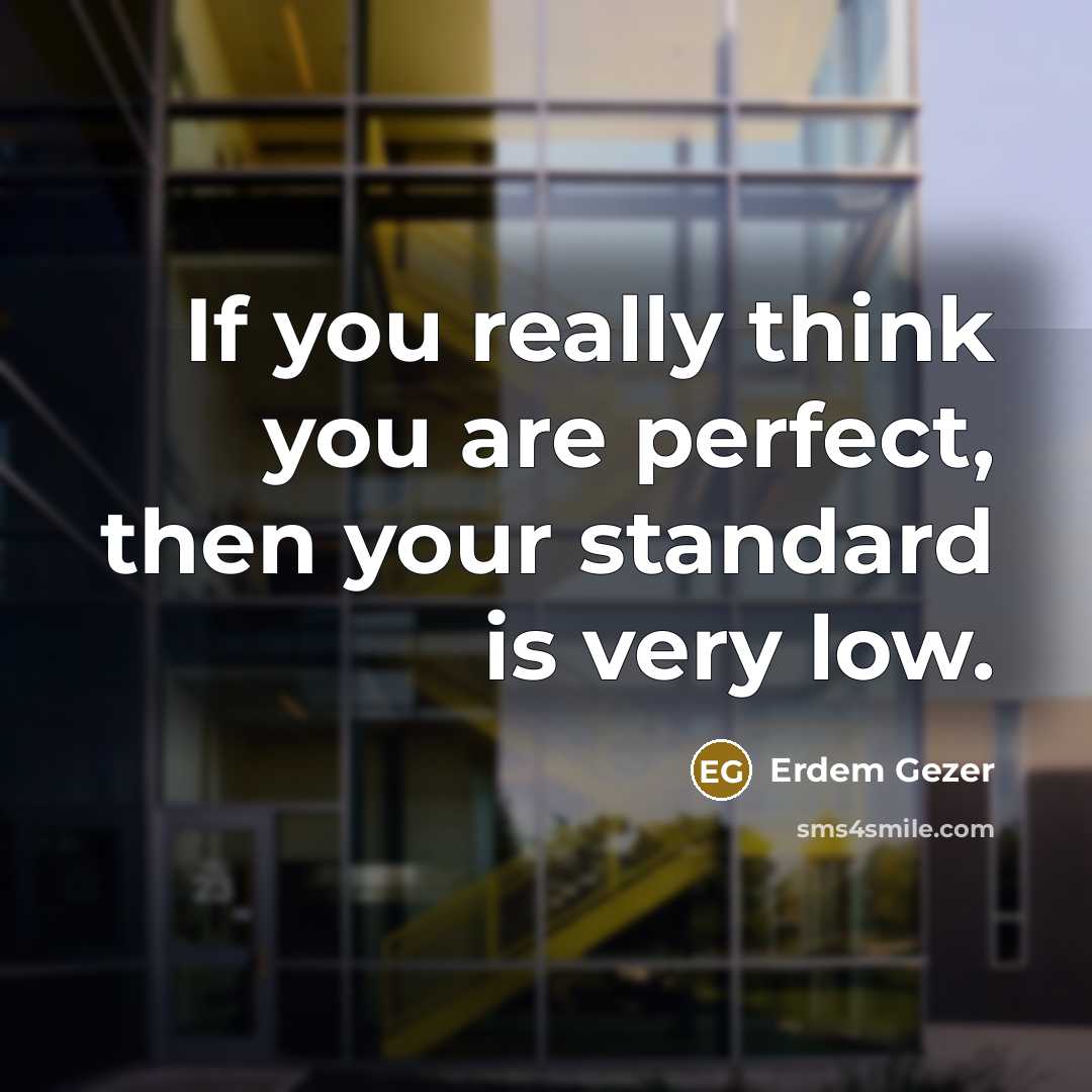 “If you really think you are perfect, then your standard…” quote by Erdem Gezer