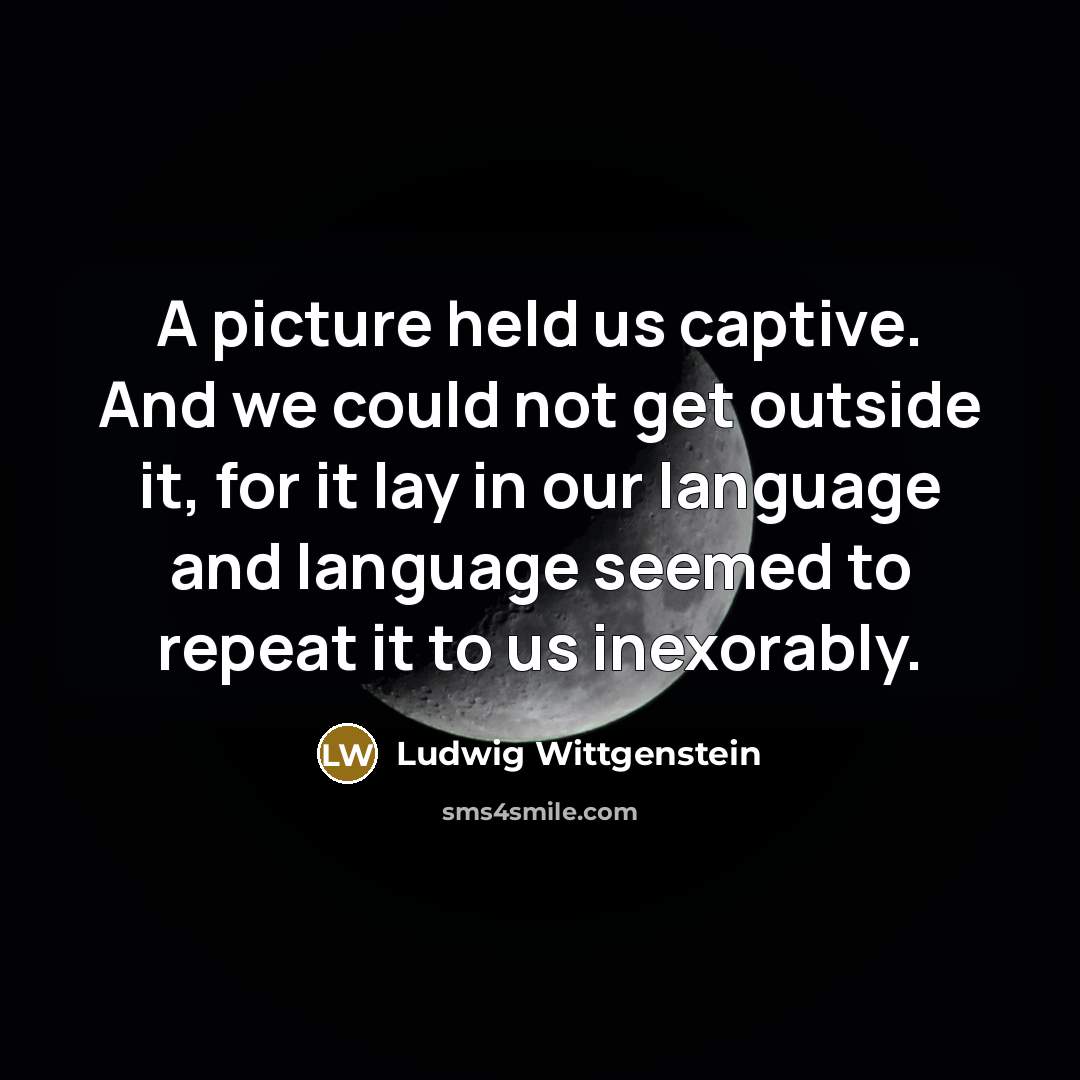 “A picture held us captive. And we could not get…” quote by Ludwig Wittgenstein