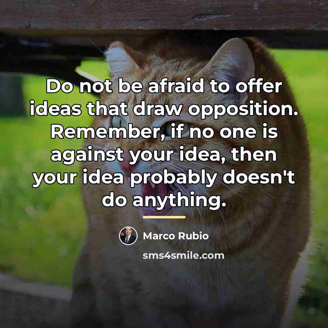 “Do not be afraid to offer ideas that draw opposition.…” quote by Marco Rubio