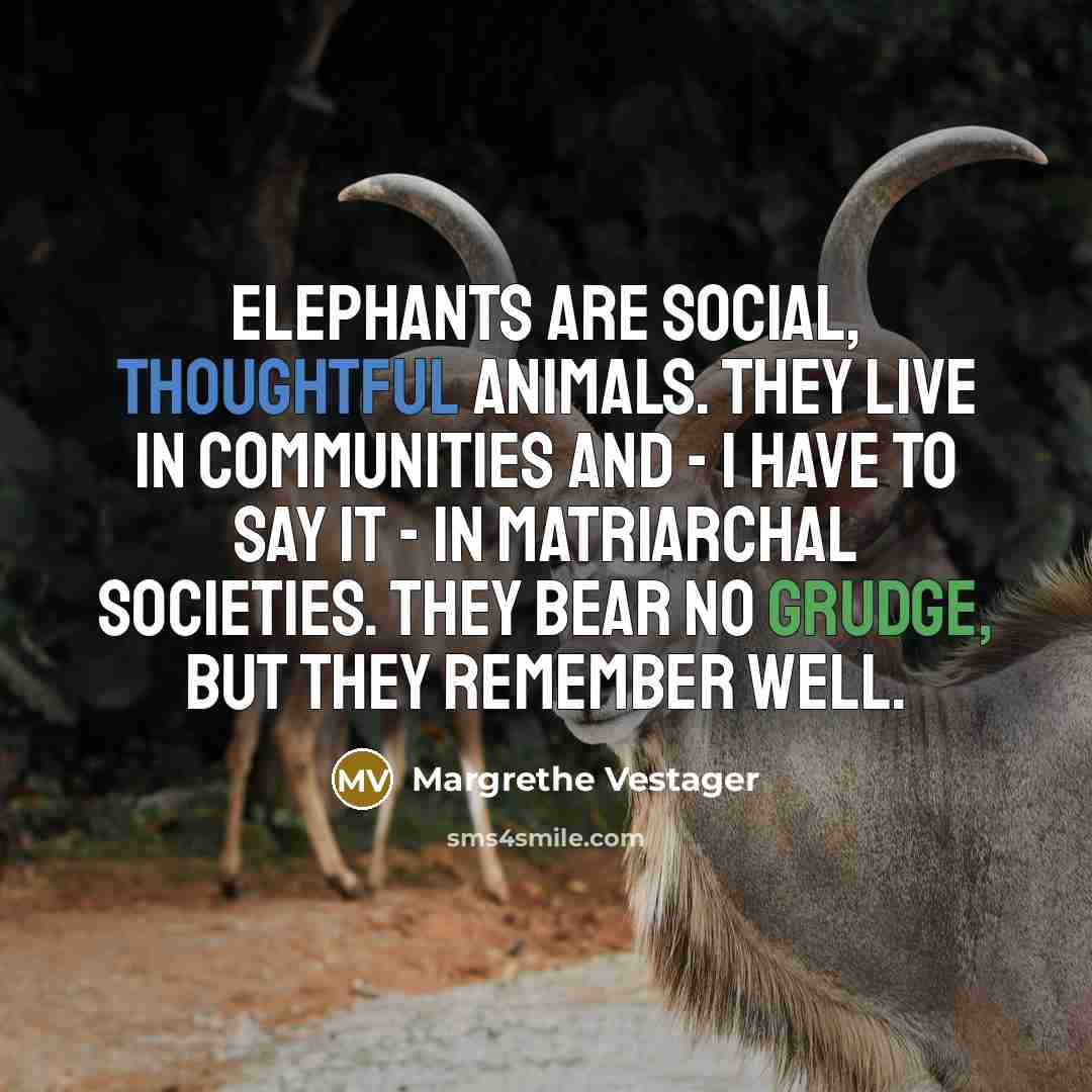 “Elephants are social, thoughtful animals. They live in communities and…” quote by Margrethe Vestager