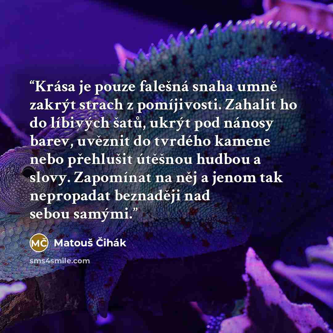 “Krása je pouze falešná snaha umně zakrýt strach z pomíjivosti. Zahalit ho do líbivých šatů, ukrýt pod nánosy barev, uvěznit do tvrdého kamene nebo přehlušit útěšnou hudbou a slovy. Zapomínat na něj a jenom tak nepropadat beznaději nad sebou samými.” quote by Matouš Čihák