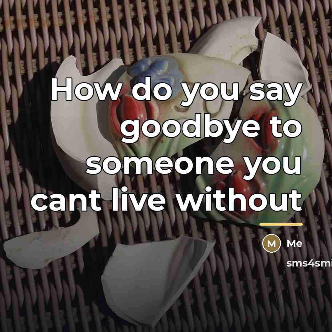 “How do you say goodbye to someone you cant live…” quote by Me