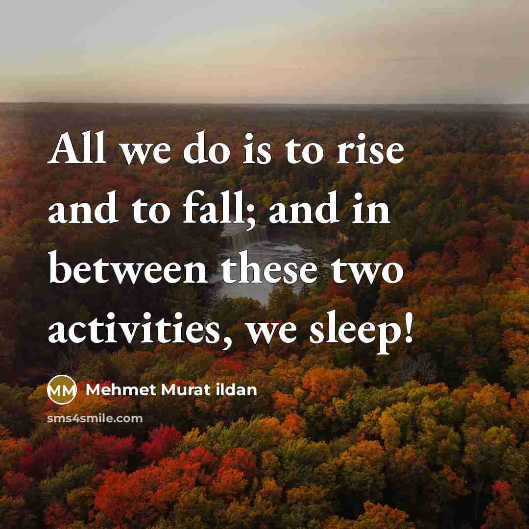 “All we do is to rise and to fall; and…” quote by Mehmet Murat Ildan