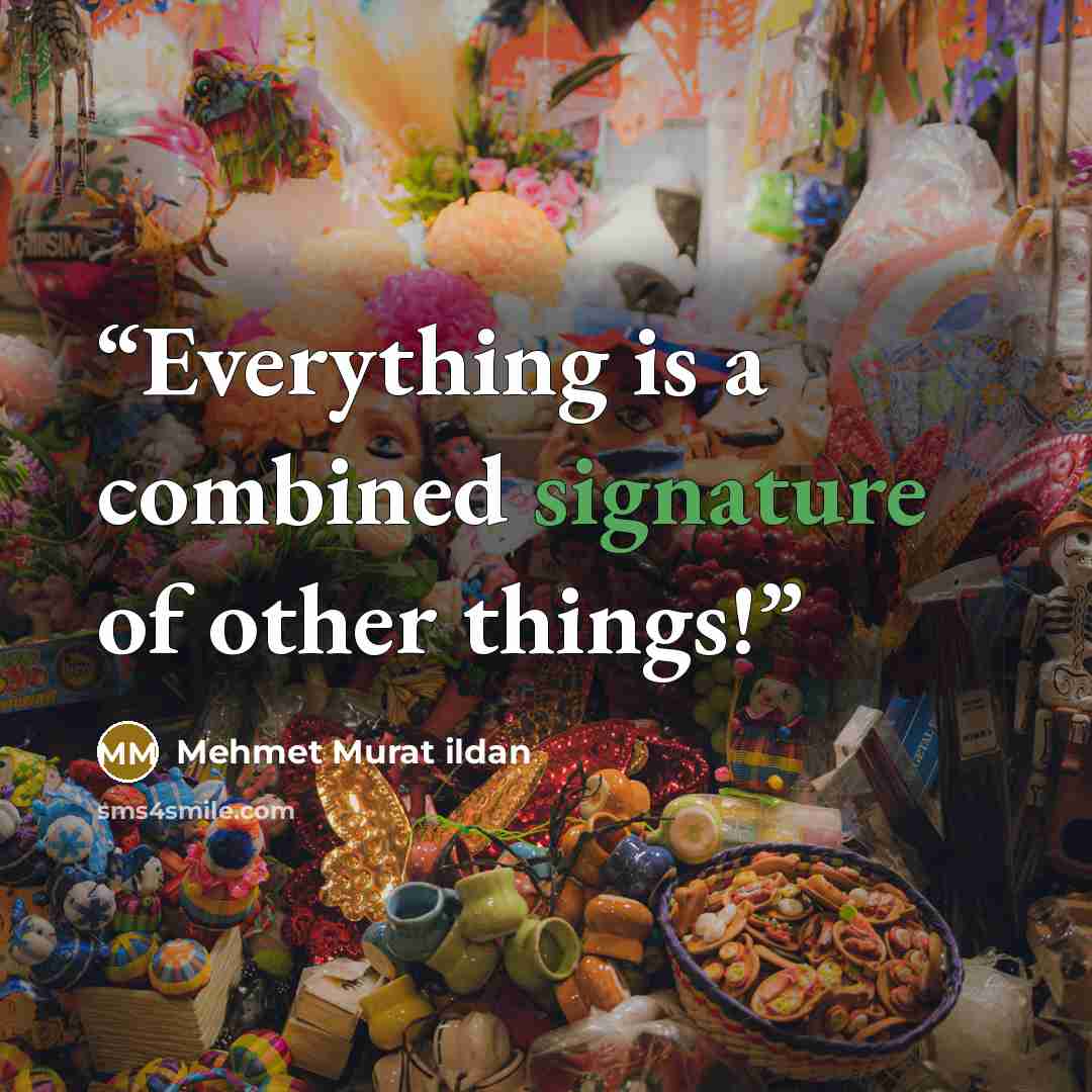 “Everything is a combined signature of other things!” quote by Mehmet Murat ildan