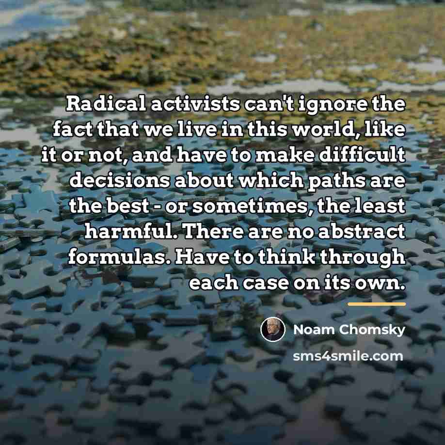“Radical activists can't ignore the fact that we live in…” quote by Noam Chomsky