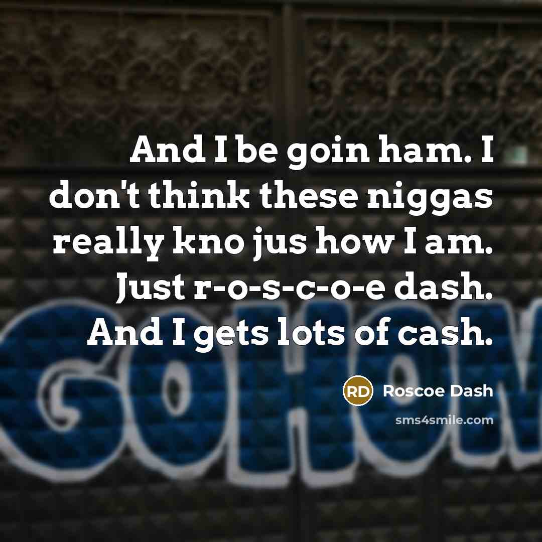 “And I be goin ham. I don't think these niggas really kno jus how I am. Just r-o-s-c-o-e dash. And I gets lots of cash.” quote by Roscoe Dash