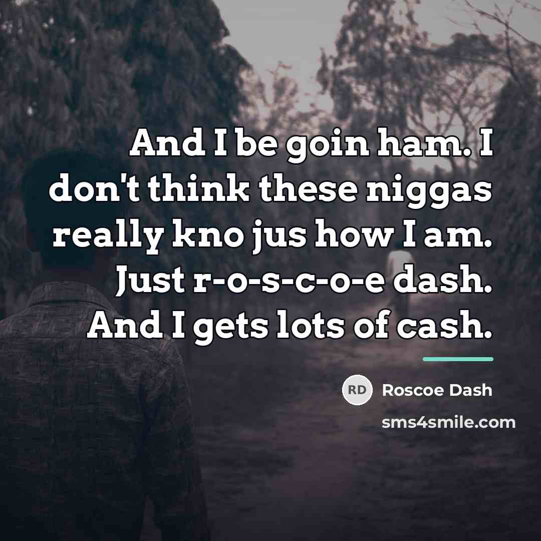 “And I be goin ham. I don't think these niggas…” quote by Roscoe Dash