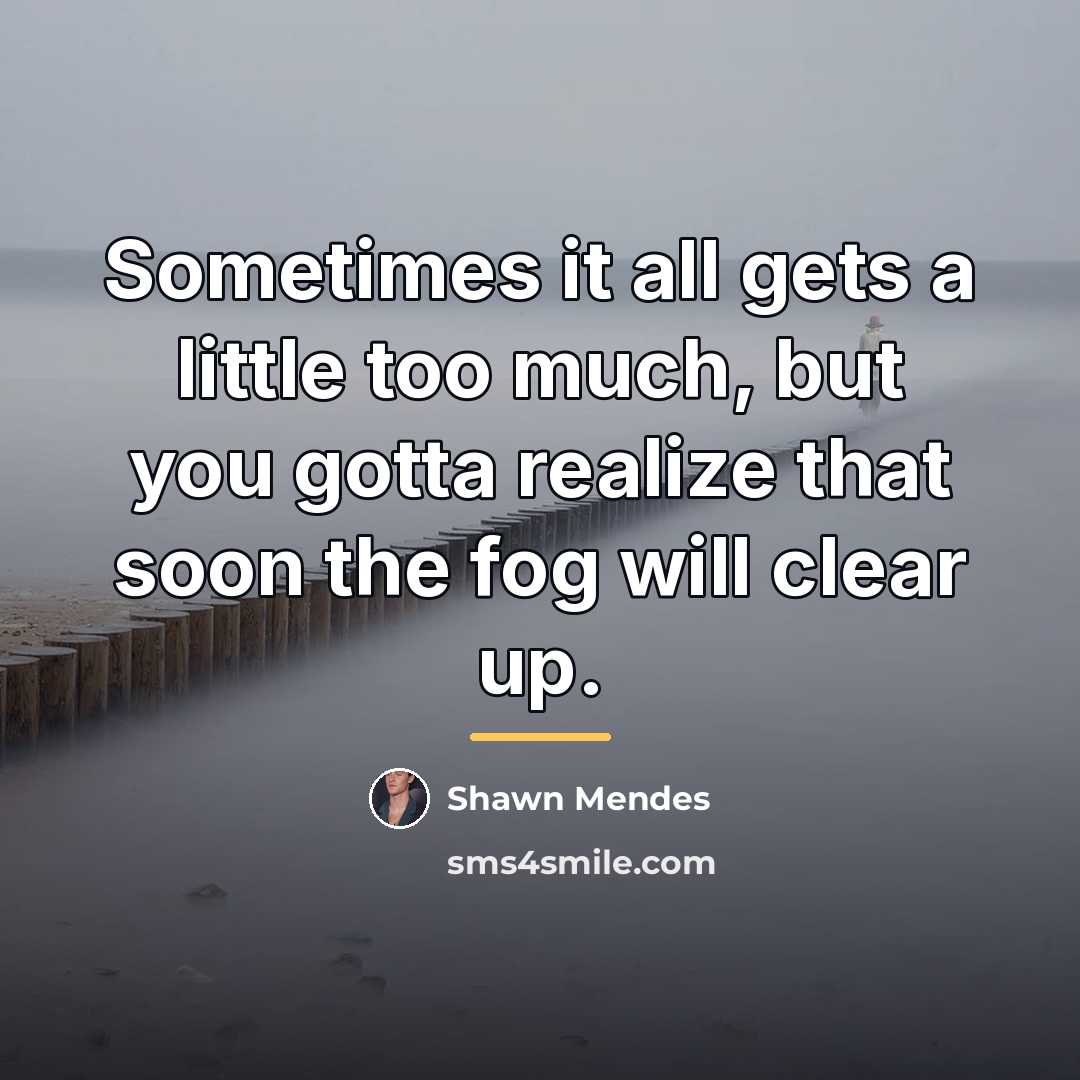 “Sometimes it all gets a little too much, but you…” quote by Shawn Mendes