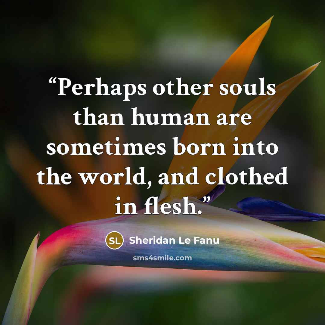 “Perhaps other souls than human are sometimes born into the world, and clothed in flesh.” quote by Sheridan Le Fanu