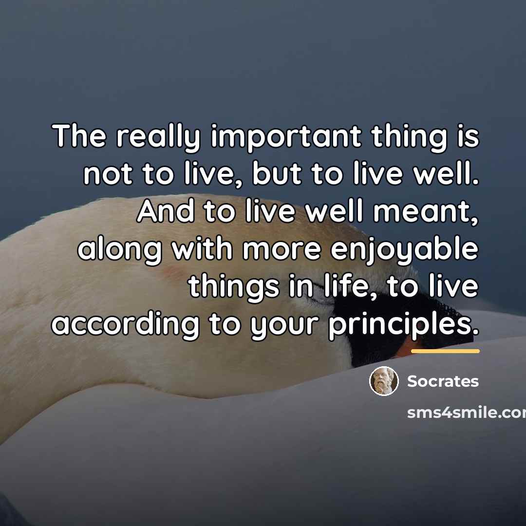 “The really important thing is not to live, but to…” quote by Socrates