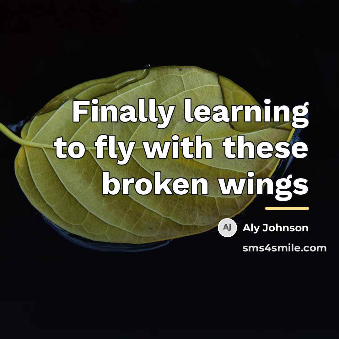 “Finally learning to fly with these broken wings…” quote by Aly Johnson