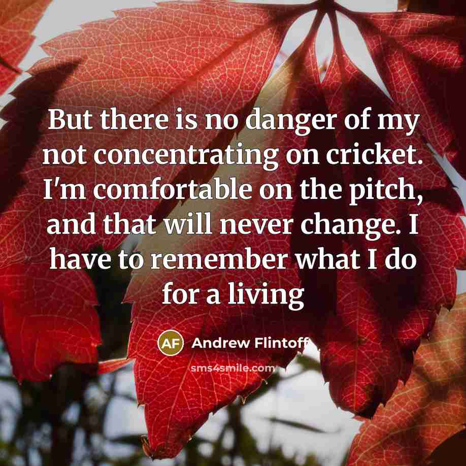 “But there is no danger of my not concentrating on…” quote by Andrew Flintoff