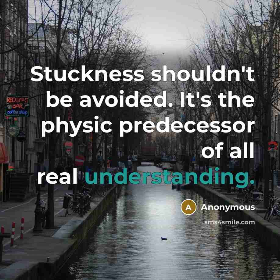 “Stuckness shouldn't be avoided. It's the physic predecessor of all real understanding.” quote by Anonymous